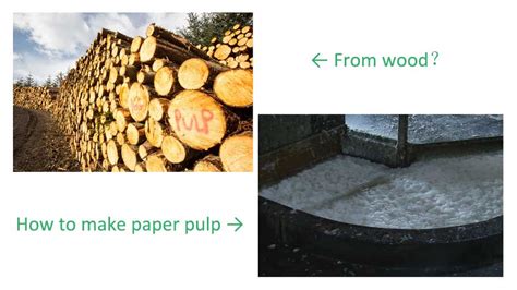 How to Make Wood Pulp. Part 1