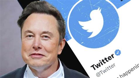 Twitter Becomes X See What Elon Musk Has Done With It Firstpost