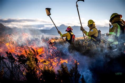 Impacto De Los Incendios Forestales En Ecuador TriSabio