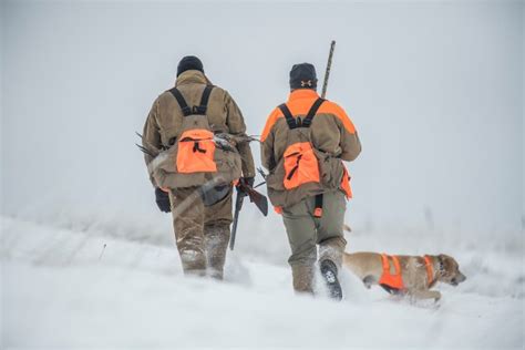 5 Tips for Solo Pheasant Hunting