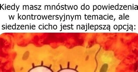 Szkoda Strz Pi Ryja Idiot W I Tak Nie Przekonasz A Jeszcze Wylej Na