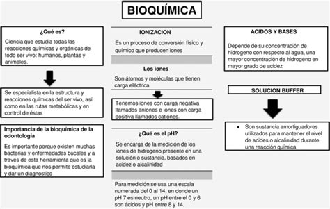 Mapas Conceptuales De La Bioqu Mica Descargar