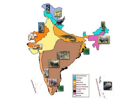 Solution Biogeographic Regions Of India Studypool