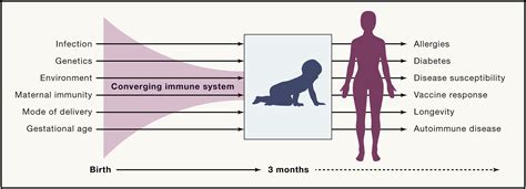 Neonate Omics Charting The Unknown Immune Response In Early Life Cell