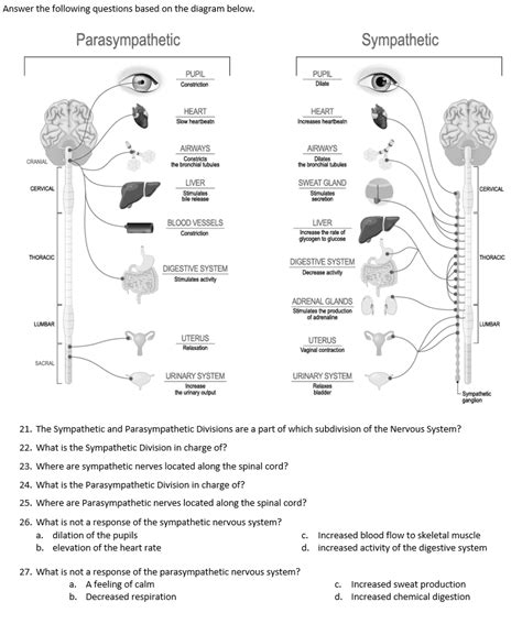 Solved Answer the following questions based on the diagram | Chegg.com