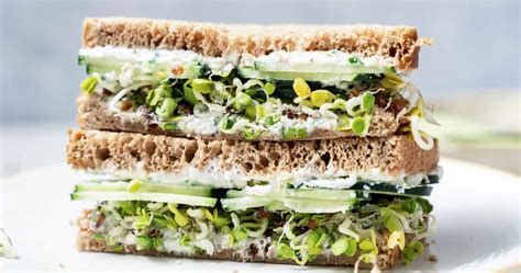 Healthy Cucumber Sandwich Punchfork