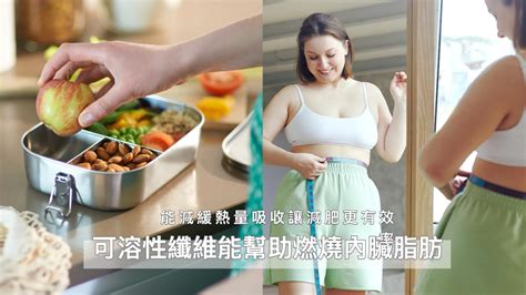 內臟脂肪是什麼？想減掉內臟脂肪必吃它！「可溶性纖維」是什麼？怎麼吃？能減緩熱量吸收讓減肥更有效率