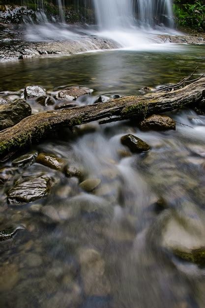 Premium Photo Liffey Falls State Reserve At The Midlands Region Of