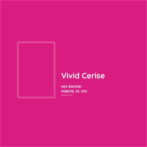 Vivid cerise Color Palettes, Scheme Combination - colorxs.com