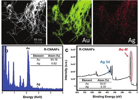 Elemental Analysis Of R CNAAFs A HAADF STEM Image And EDX Mapping Of