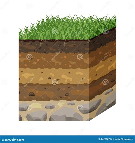 Soil In Layers In Section Structure Of The Earth Surface Underground