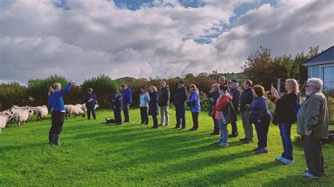 Take A Guided Sheep Farm Tour in Ireland | Vagabond 🐑