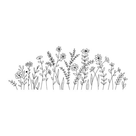 Wild Herb And Flower Doodles On White Background Vector Flower Drawing