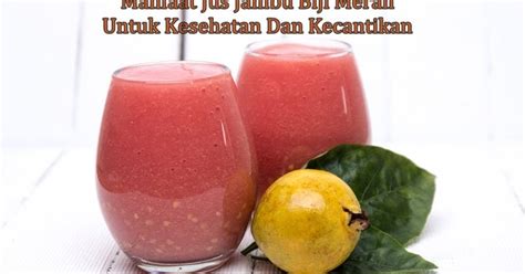 Manfaat Jus Jambu Biji Untuk Kesehatan Dan Kecantikan Blog Aneka