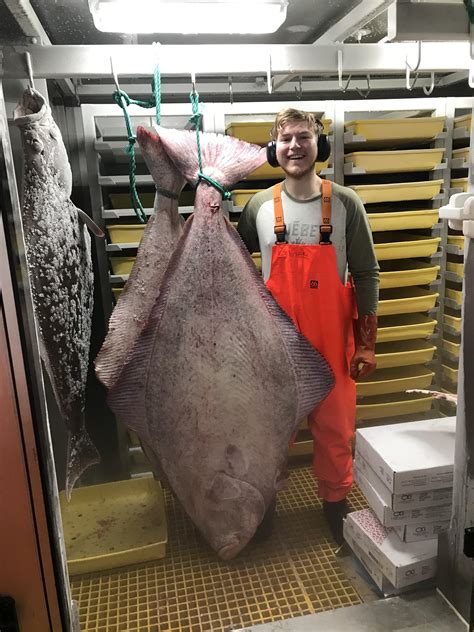 Big Atlantic halibut : r/Fishing