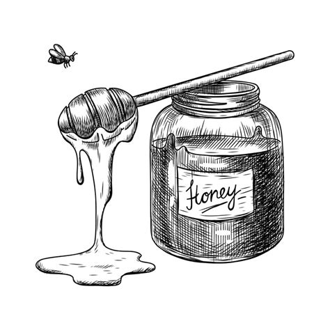 Free Vector | Hand drawn honey jar drawing illustration