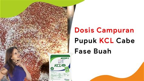 Dosis Pupuk KCl Untuk Buah Cabe Jadi NPK Generatif YouTube