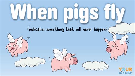 When Pigs Fly And Other Funny Idioms For The Impossible Yourdictionary