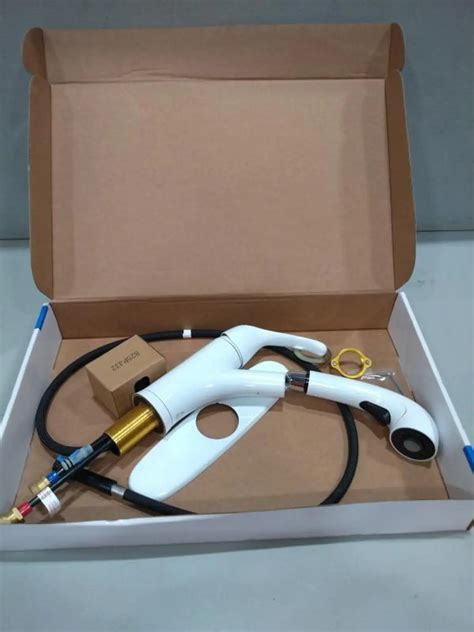 Project Source EVERFIELD White Single Handle Pull-out Kitchen Faucet