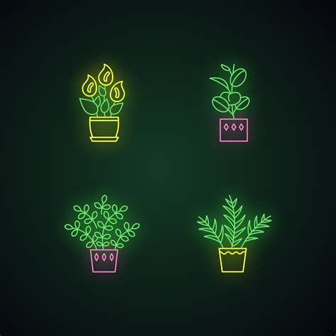 Indoor Plants Neon Light Icons Set 3189398 Vector Art At Vecteezy