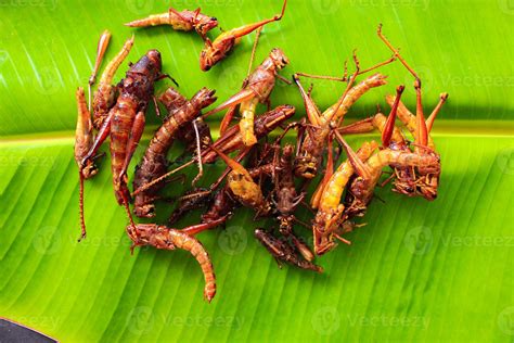 fried grasshopper or belalang goreng is traditional food from southeast asia, served with sambal ...