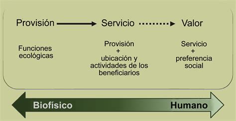 Por qué necesitamos herramientas para mapear y valorar los servicios