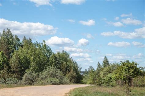 Turn Country Dirt Road Stock Image Image Of Landscape 124087747