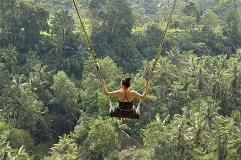 Ubud Tour With Jungle Swing Triphobo