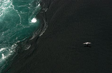 Ocean Currents - WorldAtlas