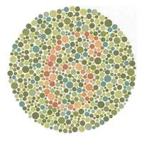 Color blindness test online | T4Tutorials.com