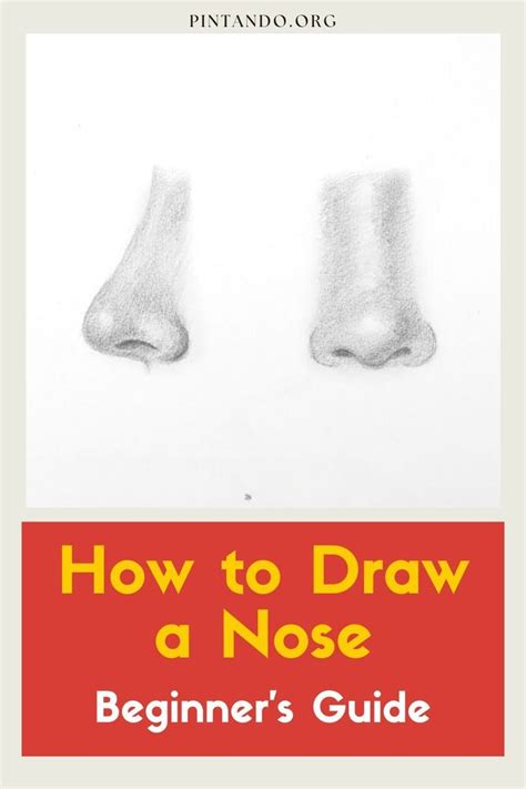 How To Draw A Nose Beginners Guide Nose Drawing Drawings Step By