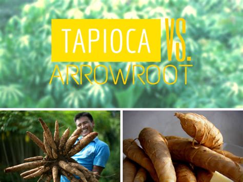 Tapioca Vs Arrowroot Recepten Paleo Recepten Kooktips