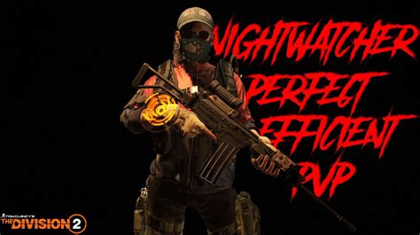 Tom Clancy S The Division Updated Nightwatcher Perfect Efficient Pvp