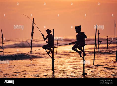 Sri Lanka Stilt Fisherman Hi Res Stock Photography And Images Alamy