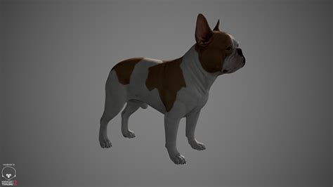 ArtStation - French Bulldog Game-Ready | Game Assets