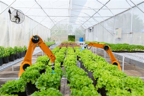 大規模化する農業へのロボット活用が不可欠に【渡邊智之のスマート農業コラム 第19回】 | 農業とITの未来メディア「SMART AGRI ...