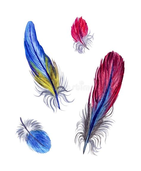 Conjunto De Plumas De Aves Multicolores Pintura Acuarela Stock De