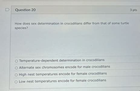 Solved Question 203 PtsHow Does Sex Determination In Chegg