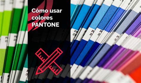 Como Usar Colores Pantone Empaques Y Gr Ficos Sas