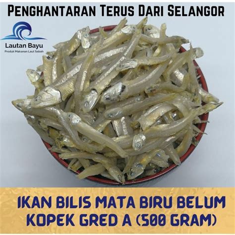 Ikan Bilis Mata Biru Belum Kopek 500 G Lazada