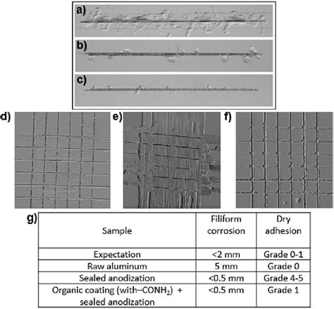 (a) Filiform corrosion results for raw aluminum. (b) Filiform corrosion... | Download Scientific ...