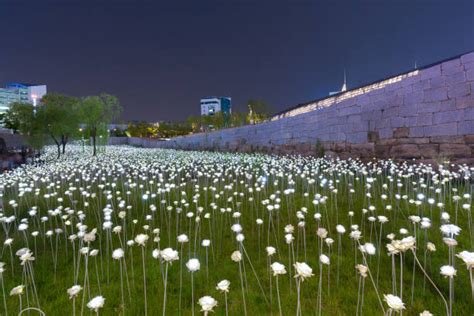 Royalty Free Dongdaemun Design Plaza Pictures, Images and Stock Photos - iStock