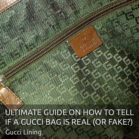 Check Authenticity Gucci Bag Serial Number Iucn Water