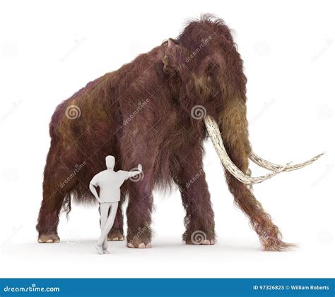 Woolly Mammoth and Human Size Comparison Stock Illustration ...