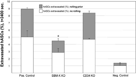 The Abm Generated The New Hypothesis That Selectin Mediated Rolling Via