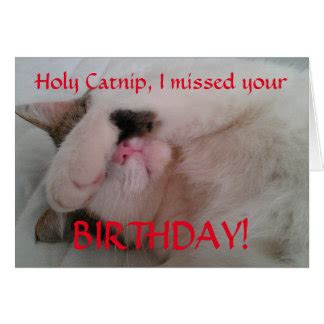 Cat Belated Birthday Gifts on Zazzle