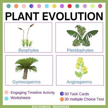 Plant Life Cycles And Evolution Multiple Activity Lesson TPT