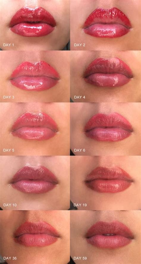 Lip Blush Color Theory Darcey Slocum