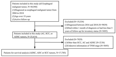 JPM Free Full Text Clinical Pathological Characteristics Of