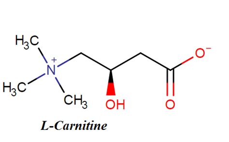 L-Carnitine – Benefits, Dosage, Side effects and Reviews – Drug Details